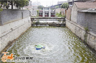 清水繞城，生態煥新 我市探索治理黑臭河道新路徑